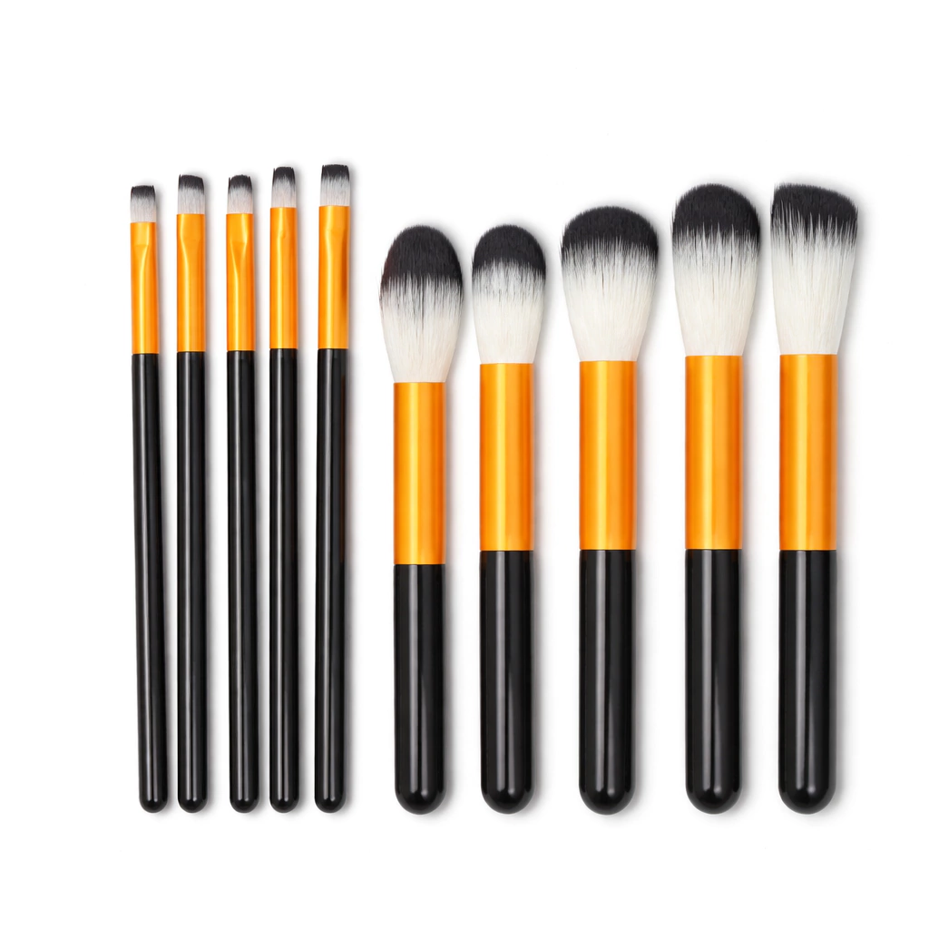 KIT DE 10 BROCHAS PREMIUM